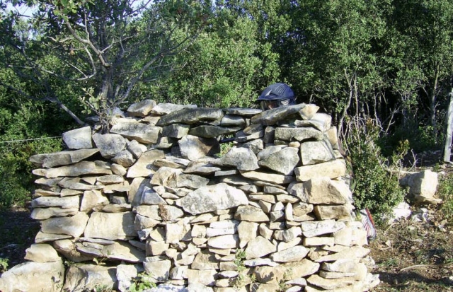  Juego de banderas 